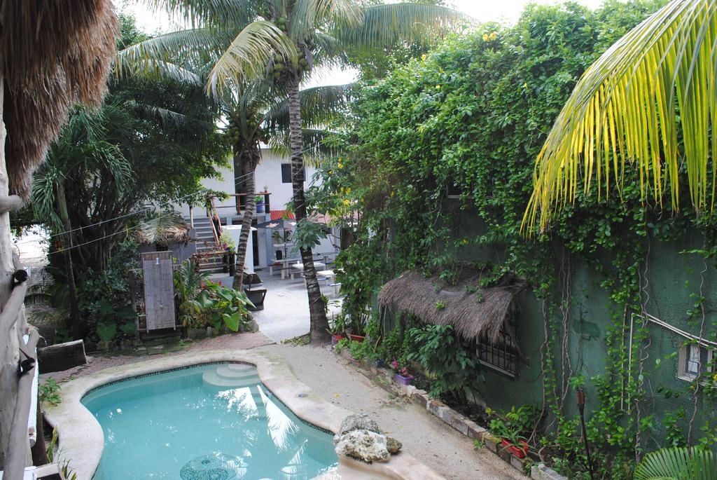 Lobo Inn Tulum Ngoại thất bức ảnh